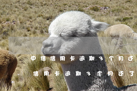 中信信用卡逾期3个月还了100多-中信信用卡逾期3个月还了100多怎么办