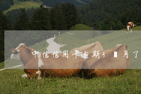 中信信用卡逾期3個月了被起訴了怎么辦
