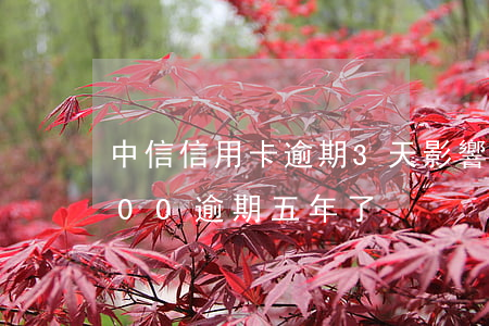 中信信用卡逾期3天影響嗎(中信信用卡3000逾期五年了)