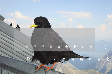 中信信用卡逾期3天會(huì)對征信有影響嗎-中信信用卡逾期3天會(huì)對征信有影響嗎知乎