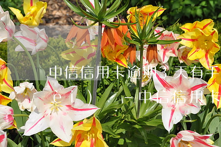 中信信用卡逾期3天,有手續(xù)費(fèi)嗎-中信信用卡逾期3天,有手續(xù)費(fèi)嗎多少錢(qián)
