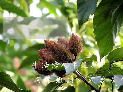 中信信用卡逾期3天要求全額還款-中信信用卡逾期3天要求全額還款是真的嗎
