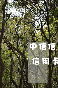 中信信用卡逾期4天賬戶(hù)異常(中信信用卡40000逾期一年)