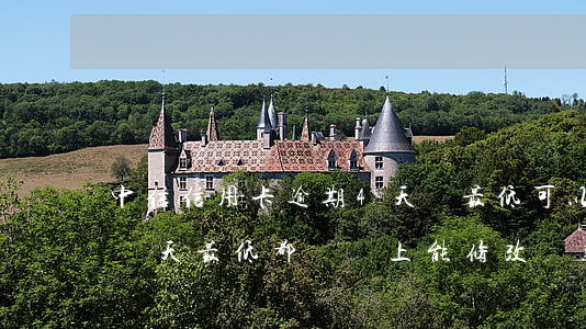 中信信用卡逾期4天還最低可以嗎(中信逾期兩天,最低都沒還上,能修改還款日嗎)