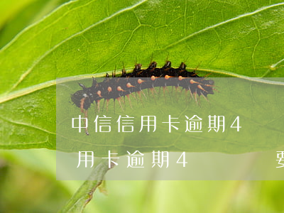 中信信用卡逾期4萬沒還要全額還-中信信用卡逾期4萬沒還要全額還款嗎