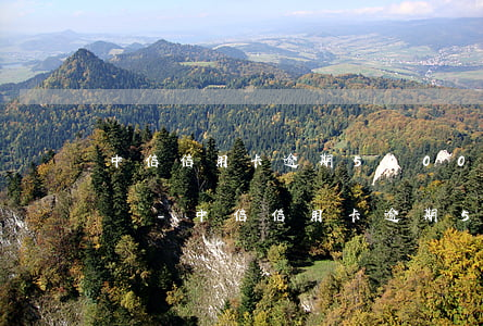 中信信用卡逾期5000能協(xié)商嗎-中信信用卡逾期5000能協(xié)商嗎多少錢