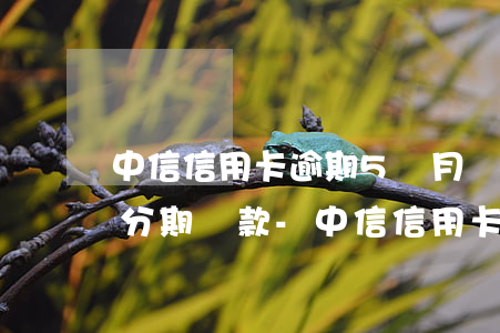 中信信用卡逾期5個月還能協(xié)商分期還款-中信信用卡逾期5個月還能協(xié)商分期還款嗎