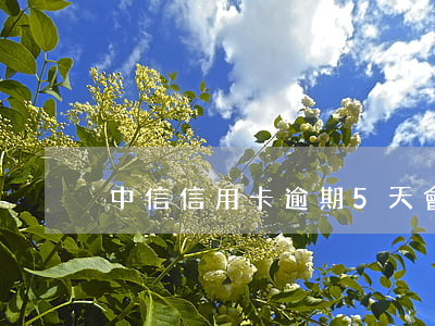 中信信用卡逾期5天會(huì)怎么辦
