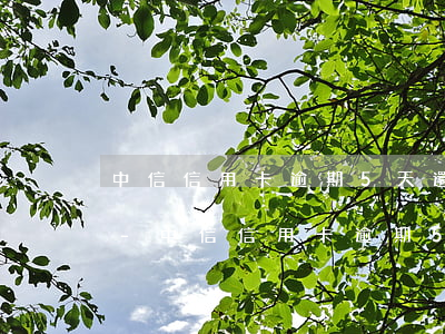 中信信用卡逾期5天還能繼續(xù)用嗎-中信信用卡逾期5天還能繼續(xù)用嗎