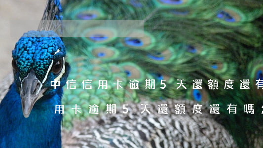 中信信用卡逾期5天還額度還有嗎-中信信用卡逾期5天還額度還有嗎怎么辦