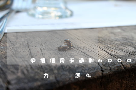 中信信用卡逾期6000(中信信用卡逾期了無力償還怎么辦)