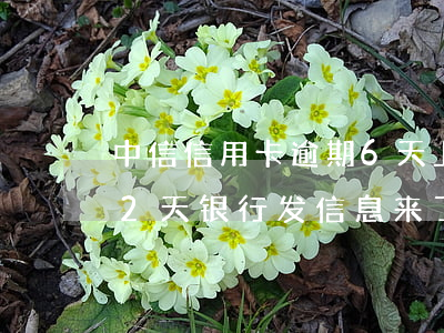 中信信用卡逾期6天上征信吗(中信银行逾期2天 银行发信息来了影响征信吗)