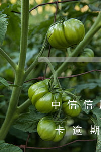 中信信用卡逾期8万被立案怎么办 中信银行卡逾期三年,说要立案是真的吗