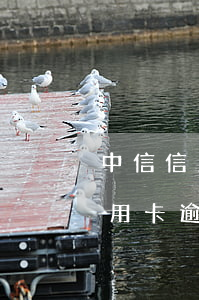 中信信用卡逾期8天沒有逾期金額-中信信用卡逾期8天沒有逾期金額怎么辦