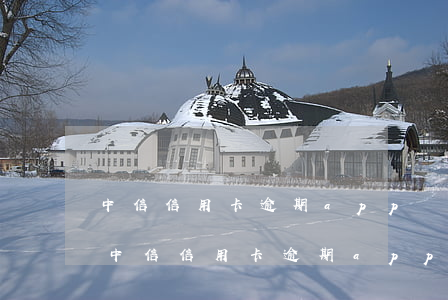 中信信用卡逾期app無(wú)法還款-中信信用卡逾期app無(wú)法還款怎么辦