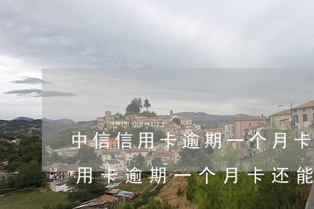 中信信用卡逾期一个月卡还能用吗-中信信用卡逾期一个月卡还能用吗安全吗