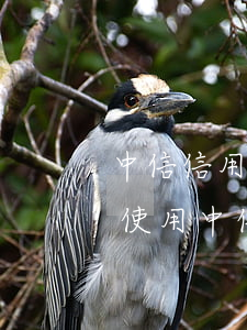 中信信用卡逾期一個(gè)月多還了還能使用(中信銀行信用卡 逾期還完了還能繼續(xù)用嗎)