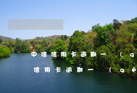 中信信用卡逾期一個(gè)月被鎖定(中信信用卡逾期一個(gè)月被鎖定)