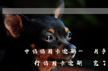 中信信用卡逾期一個月多還了還能使用(中信銀行信用卡 逾期還完了還能繼續(xù)用嗎)