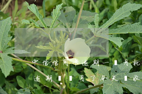 中信信用卡逾期一個月就收到函件 中信銀行逾期兩個月了,今天說收到了律師函