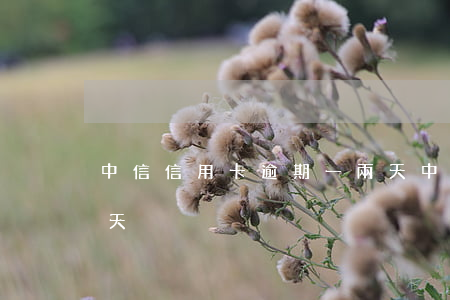 中信信用卡逾期一兩天(中信信用卡逾期一兩天)