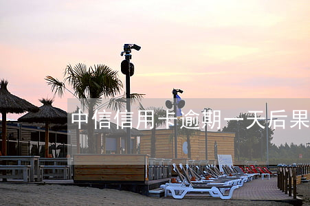 中信信用卡逾期一天后果
