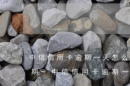 中信信用卡逾期一天怎么協(xié)商分期-中信信用卡逾期一天怎么協(xié)商分期還款