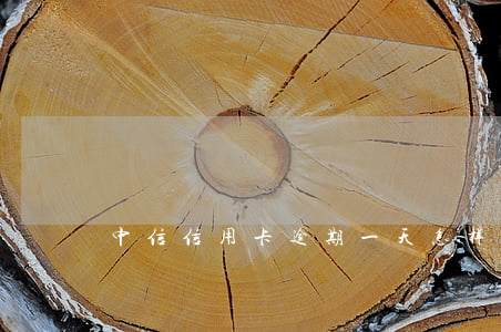 中信信用卡逾期一天怎样还款