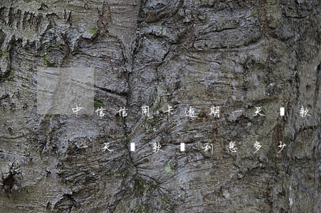 中信信用卡逾期一天還款嗎(中信信用卡逾期一天還款嗎利息多少)