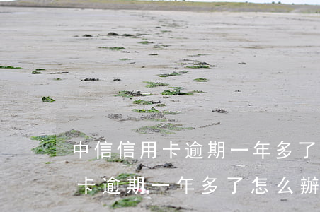 中信信用卡逾期一年多了怎么辦-中信信用卡逾期一年多了怎么辦理