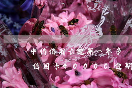 中信信用卡逾期一年多沒(méi)事(中信信用卡40000逾期一年)