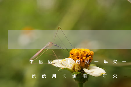 中信信用卡逾期一年欠一万多会起诉吗-中信信用卡逾期一年欠一万多会起诉吗