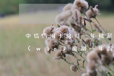 中信信用卡逾期一年被起訴(中信信用卡2萬(wàn)逾期一年說(shuō)要起訴)