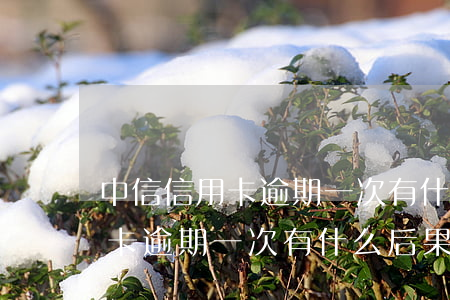 中信信用卡逾期一次有什么后果-中信信用卡逾期一次有什么后果