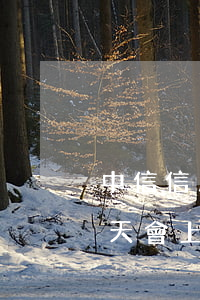 中信信用卡逾期七天會上征信嗎(信用逾期幾天會上征信)