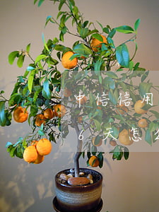 中信信用卡逾期七天有事嗎(中信信用卡逾期6天怎么辦?)
