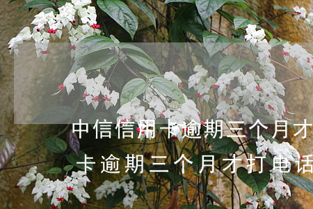 中信信用卡逾期三个月才打电话-中信信用卡逾期三个月才打电话催收