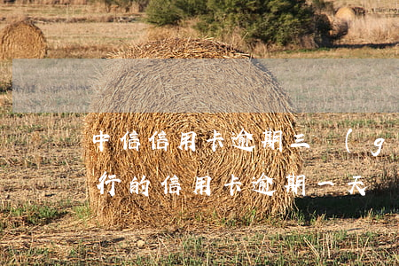 中信信用卡逾期三個(gè)月后果(中信銀行的信用卡逾期一天會(huì)有不良記錄嗎)