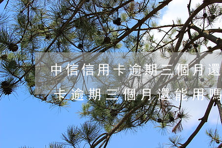 中信信用卡逾期三個月還能用嗎-中信信用卡逾期三個月還能用嗎現(xiàn)在