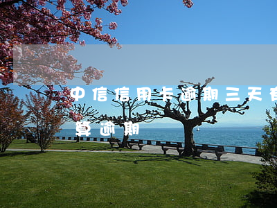 中信信用卡逾期三天有什么影响 信用卡几天算逾期