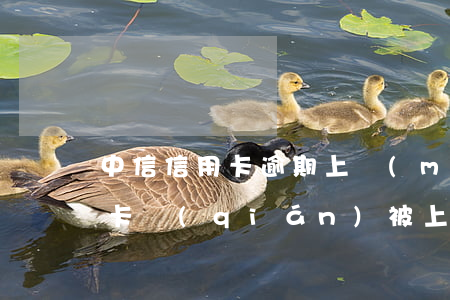 中信信用卡逾期上門(mén)要賬(差信用卡錢(qián)被上門(mén)催債怎么辦)