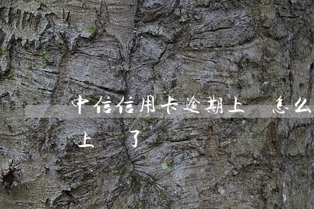 中信信用卡逾期上門怎么辦(說信用卡逾期找上門了)