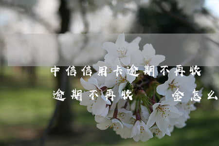 中信信用卡逾期不再收違約金-中信信用卡逾期不再收違約金怎么辦