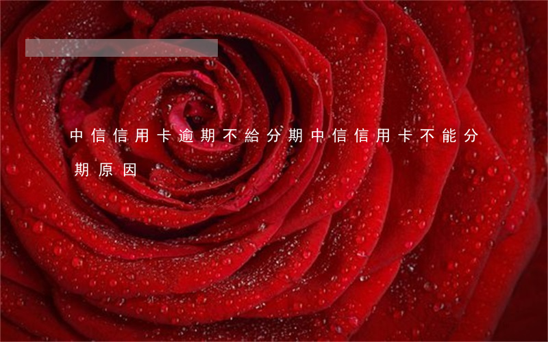 中信信用卡逾期不給分期(中信信用卡不能分期原因)