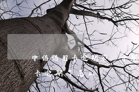 中信信用卡逾期不給分期怎么辦 分期的信用卡逾期了怎么辦