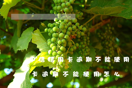 中信信用卡逾期不能使用怎么辦-中信信用卡逾期不能使用怎么辦