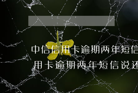 中信信用卡逾期两年短信说还本金-中信信用卡逾期两年短信说还本金是真的吗
