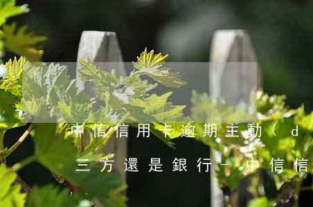 中信信用卡逾期主動(dòng)還款是第三方還是銀行-中信信用卡逾期主動(dòng)還款是第三方還是銀行的