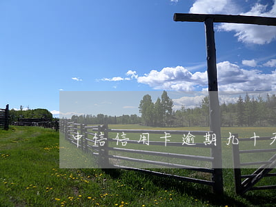 中信信用卡逾期九十天