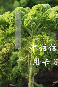 中信信用卡逾期九百塊沒還會怎樣-中信信用卡逾期九百塊沒還會怎樣處理